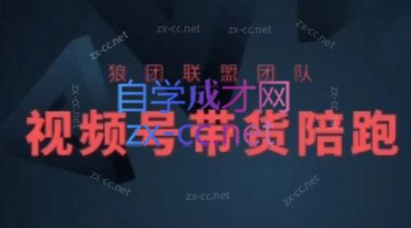 狼团联盟·2024视频号带货-AI网创