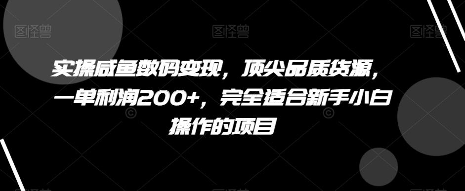 实操咸鱼数码变现，顶尖品质货源，一单利润200+，完全适合新手小白操作的项目【揭秘】-AI网创