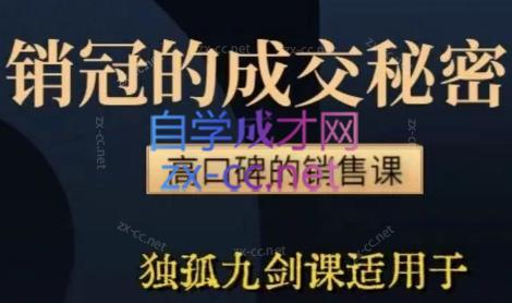 李老师·实战派销售视频课|孤独九剑-AI网创