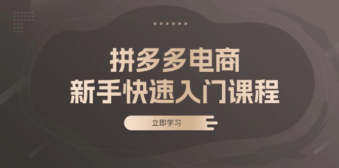 拼多多电商新手快速入门课程：涵盖基础、实战与选款，助力小白轻松上手-AI网创