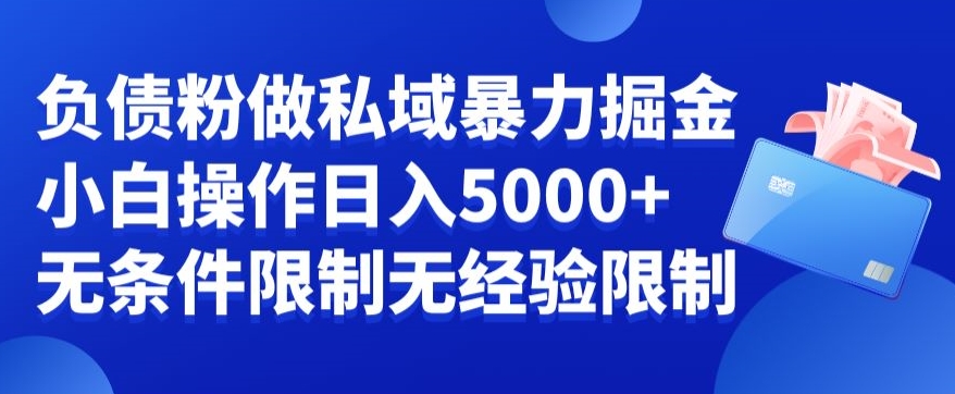 负债粉私域暴力掘金，小白操作入5000，无经验限制，无条件限制【揭秘】-AI网创