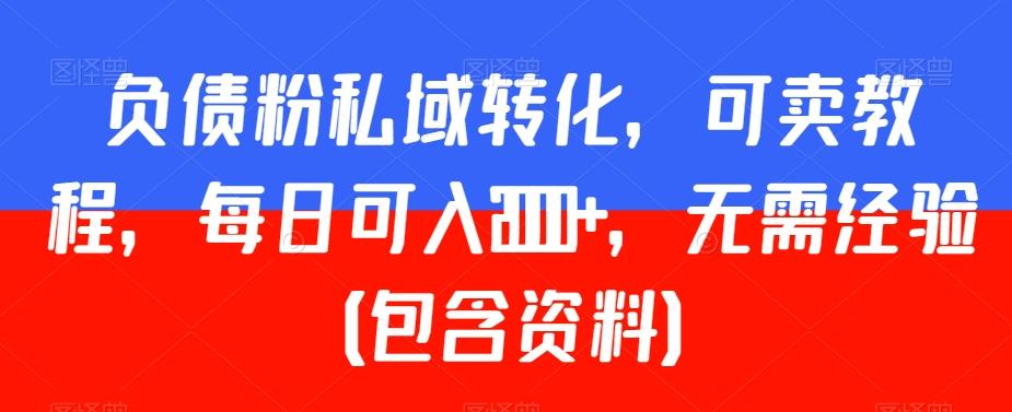 负债粉私域转化，可卖教程，每日可入2000+，无需经验（包含资料）【揭秘】-AI网创