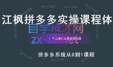 江枫老师·拼多多实操课程-AI网创