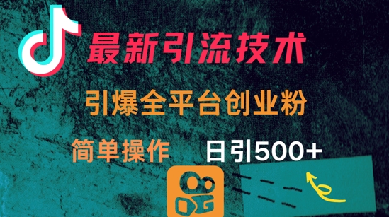 最新引流方法，引爆全平台的一个创业粉，简单操作日引300+-AI网创