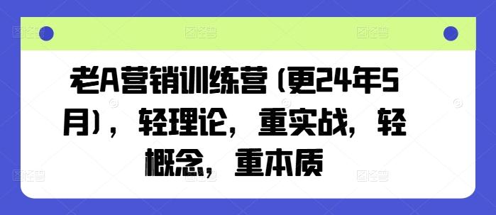老A营销训练营(更24年6月)，轻理论，重实战，轻概念，重本质-AI网创