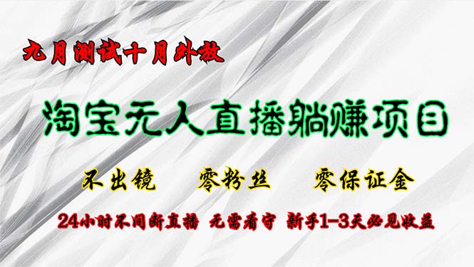 淘宝无人直播最新玩法，九月测试十月外放，不出镜零粉丝零保证金，24小…-AI网创