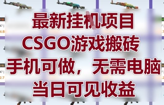 最新挂G项目，CSGO游戏搬砖，手机可做，无需电脑，当日见收益【揭秘】-AI网创