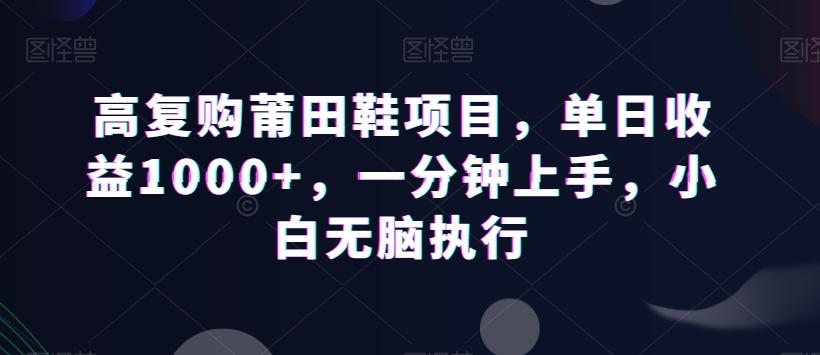 高复购莆田鞋项目，单日收益1000+，一分钟上手，小白无脑执行-AI网创