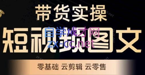 鑫哥·2024零基础短视频带货实操营-AI网创