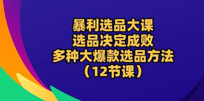 暴利 选品大课：选品决定成败，教你多种大爆款选品方法(12节课-AI网创
