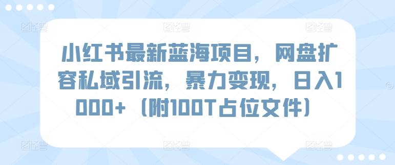 小红书最新蓝海项目，网盘扩容私域引流，暴力变现，日入1000+(附100T占位文件)【揭秘】-AI网创