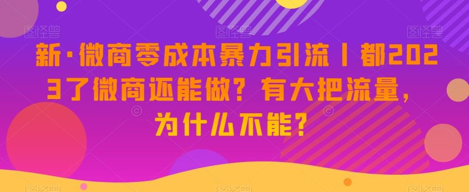 新·微商零成本暴力引流丨都2023了微商还能做？有大把流量，为什么不能？-AI网创