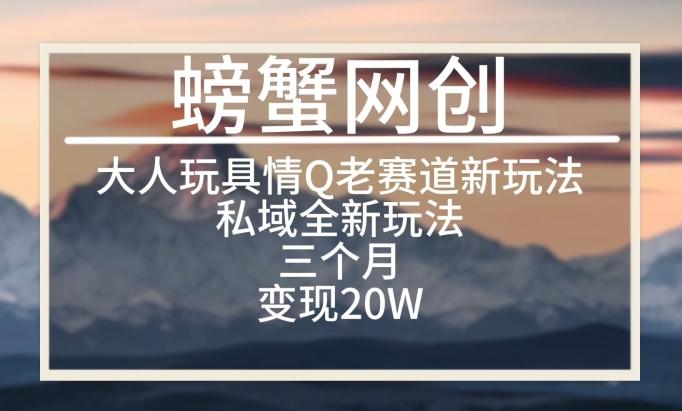 大人玩具情Q用品赛道私域全新玩法，三个月变现20W，老项目新思路【揭秘】-AI网创