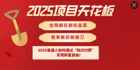 2025项目天花板普通人如何通过知识付费，实现财F自由【揭秘】-AI网创